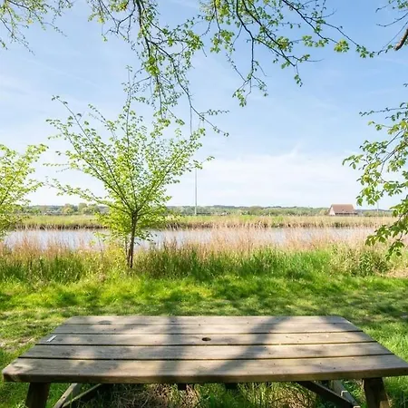 Дом отдыха Duynhof Nabij Strand, Duinen, Bos En - 5 Personen