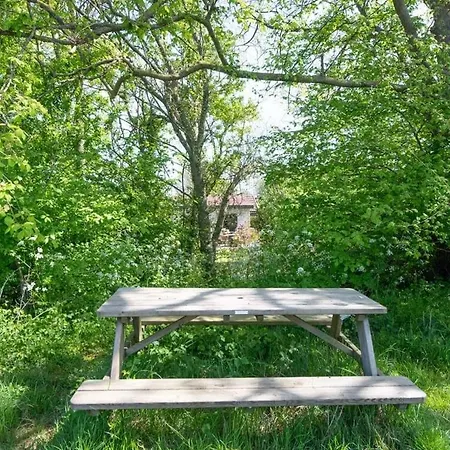 Duynhof Nabij Strand, Duinen, Bos En - 5 Personen