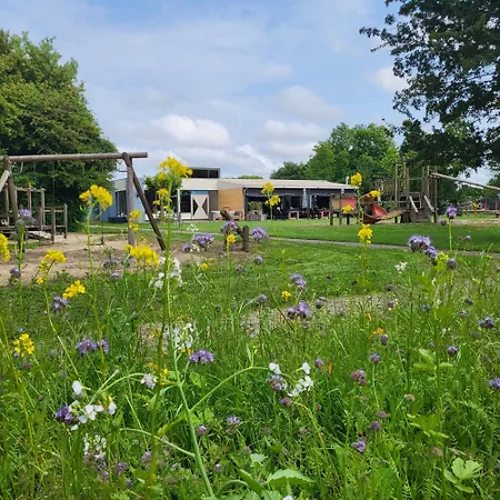 Duynhof Nabij Strand, Duinen, Bos En - 5 Personen * Warmenhuizen