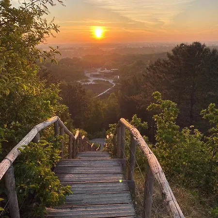 Duynhof Nabij Strand, Duinen, Bos En - 5 Personen Prázdninový dům