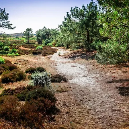 Duynhof Nabij Strand, Duinen, Bos En - 5 Personen