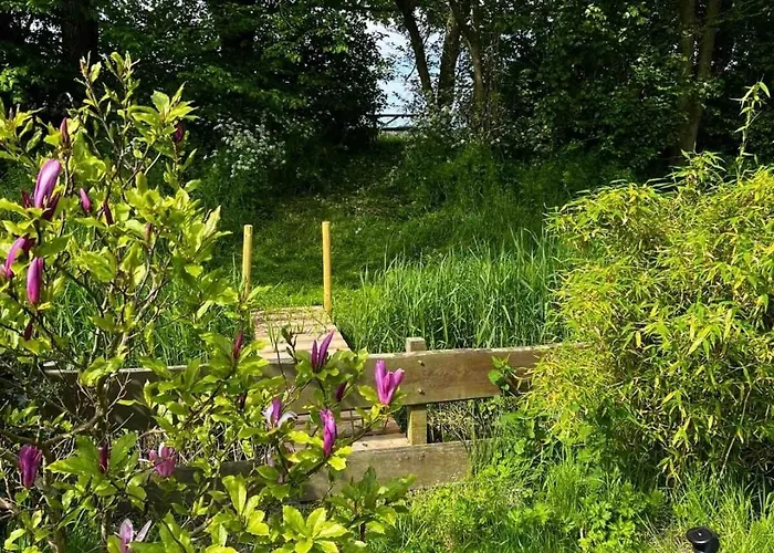 Feriehus Duynhof Nabij Strand, Duinen, Bos En - 5 Personen