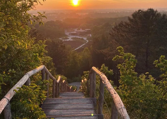 Duynhof Nabij Strand, Duinen, Bos En - 5 Personen Feriehus