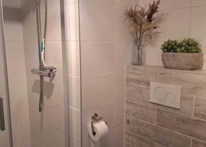 Duynhof Nabij Strand, Duinen, Bos En - 5 Personen *