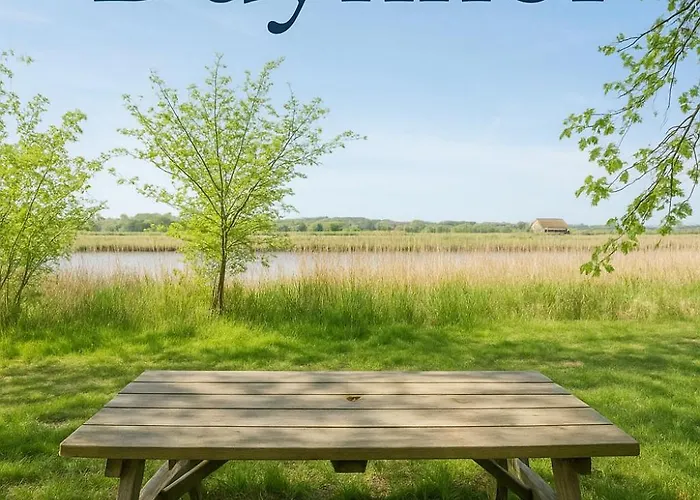 Duynhof Nabij Strand, Duinen, Bos En - 5 Personen Feriehus