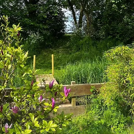 בית נופש Duynhof Nabij Strand, Duinen, Bos En - 5 Personen