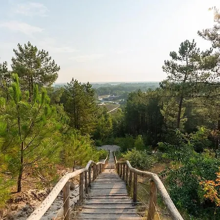 Duynhof Nabij Strand, Duinen, Bos En - 5 Personen בית נופש Warmenhuizen