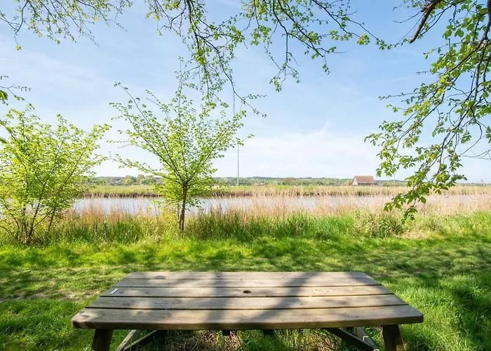 Сasa de vacaciones Duynhof Nabij Strand, Duinen, Bos En - 5 Personen