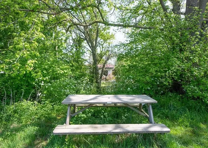 Duynhof Nabij Strand, Duinen, Bos En - 5 Personen