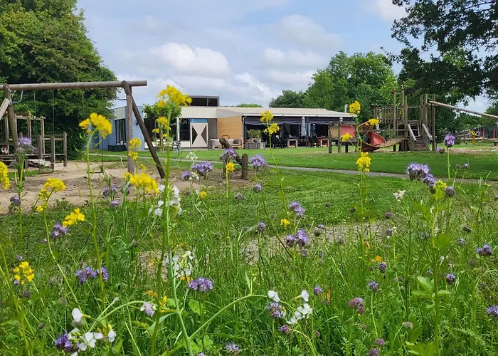 Duynhof Nabij Strand, Duinen, Bos En - 5 Personen * Warmenhuizen