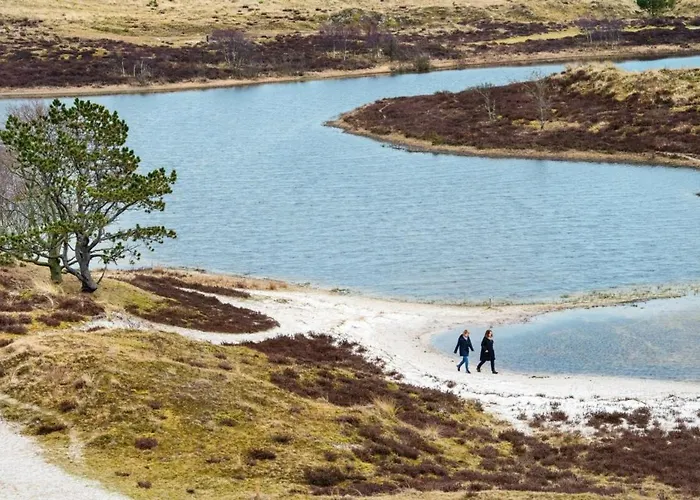 Duynhof Nabij Strand, Duinen, Bos En - 5 Personen * Warmenhuizen