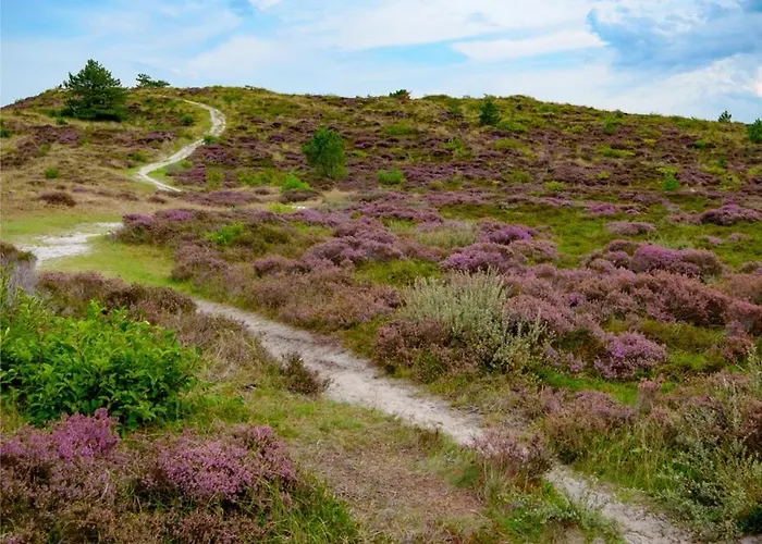 Duynhof Nabij Strand, Duinen, Bos En - 5 Personen Сasa de vacaciones Warmenhuizen