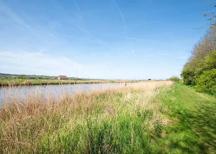 Duynhof Nabij Strand, Duinen, Bos En - 5 Personen Сasa de vacaciones