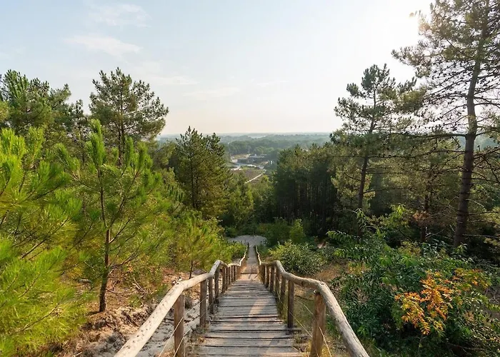 Duynhof Nabij Strand, Duinen, Bos En - 5 Personen Сasa de vacaciones Warmenhuizen