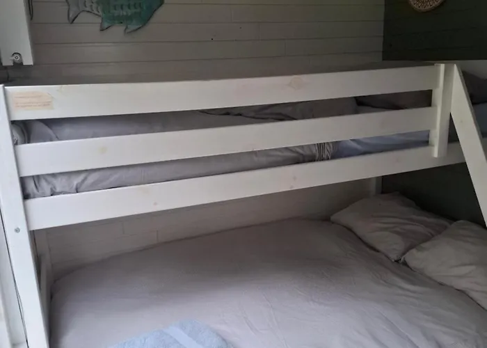 Duynhof Nabij Strand, Duinen, Bos En - 5 Personen Сasa de vacaciones