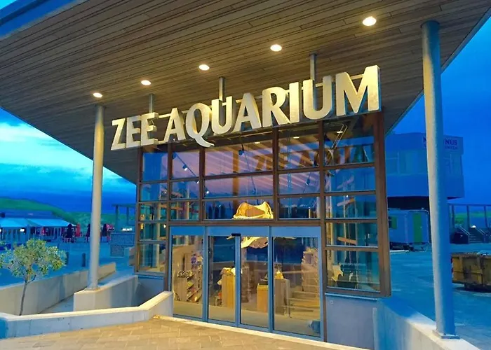 Сasa de vacaciones Duynhof Nabij Strand, Duinen, Bos En - 5 Personen